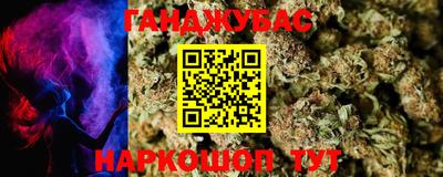 крисы Ставрополь